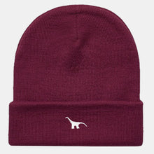 Load image into Gallery viewer, Tiny Embroidered Dino Cuffed Beanie