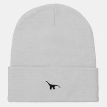 Load image into Gallery viewer, Tiny Embroidered Dino Cuffed Beanie